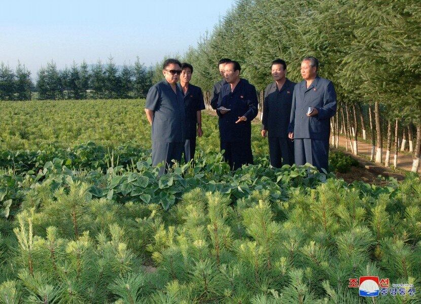 Os dois países aliados aumentaram a cooperação militar diante da crescente atividade armamentista da Coreia do Norte, que executou um número recorde de testes de mísseis no ano passado. Aqui, o pai do ditador também aparece em um dia comemorativo da plantação de árvores