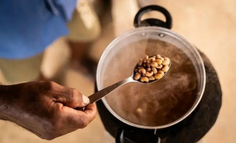 Ações do governo são fundamentais, mas não basta manter programas para acabar com a fome