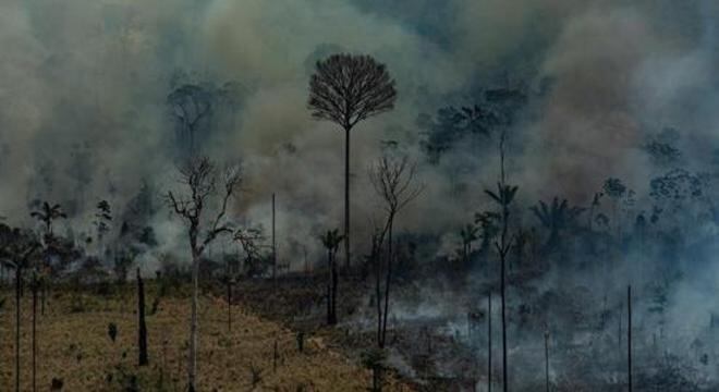 Ministério Público cobra que polícia do Pará apoie ações de fiscalização