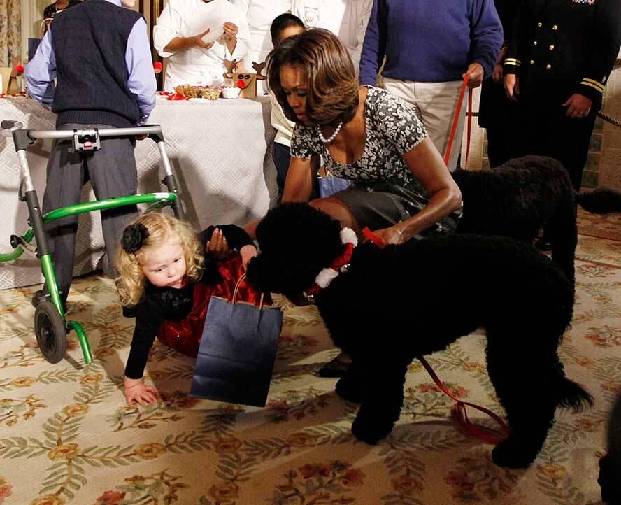 

Ashtyn se afastou da cadela, mas acabou tropeçando em um
andador e caiu ao chão.

O incidente foi registrado por vários fotógrafos que acompanhavam o evento