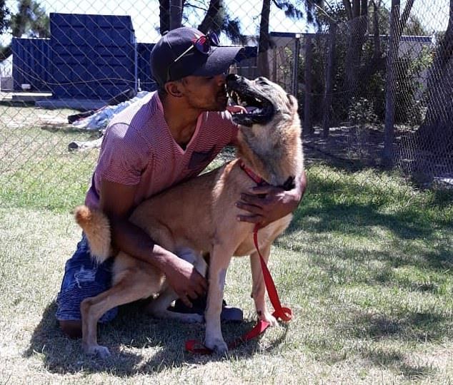 Um porta-voz da AWSSA afirmou que o animal esteve perto da morte e ficou entrando e saindo do coma
LEIA TAMBÉM: Suspeito reproduz técnica do Senhor Miyagi antes de roubar bolsa