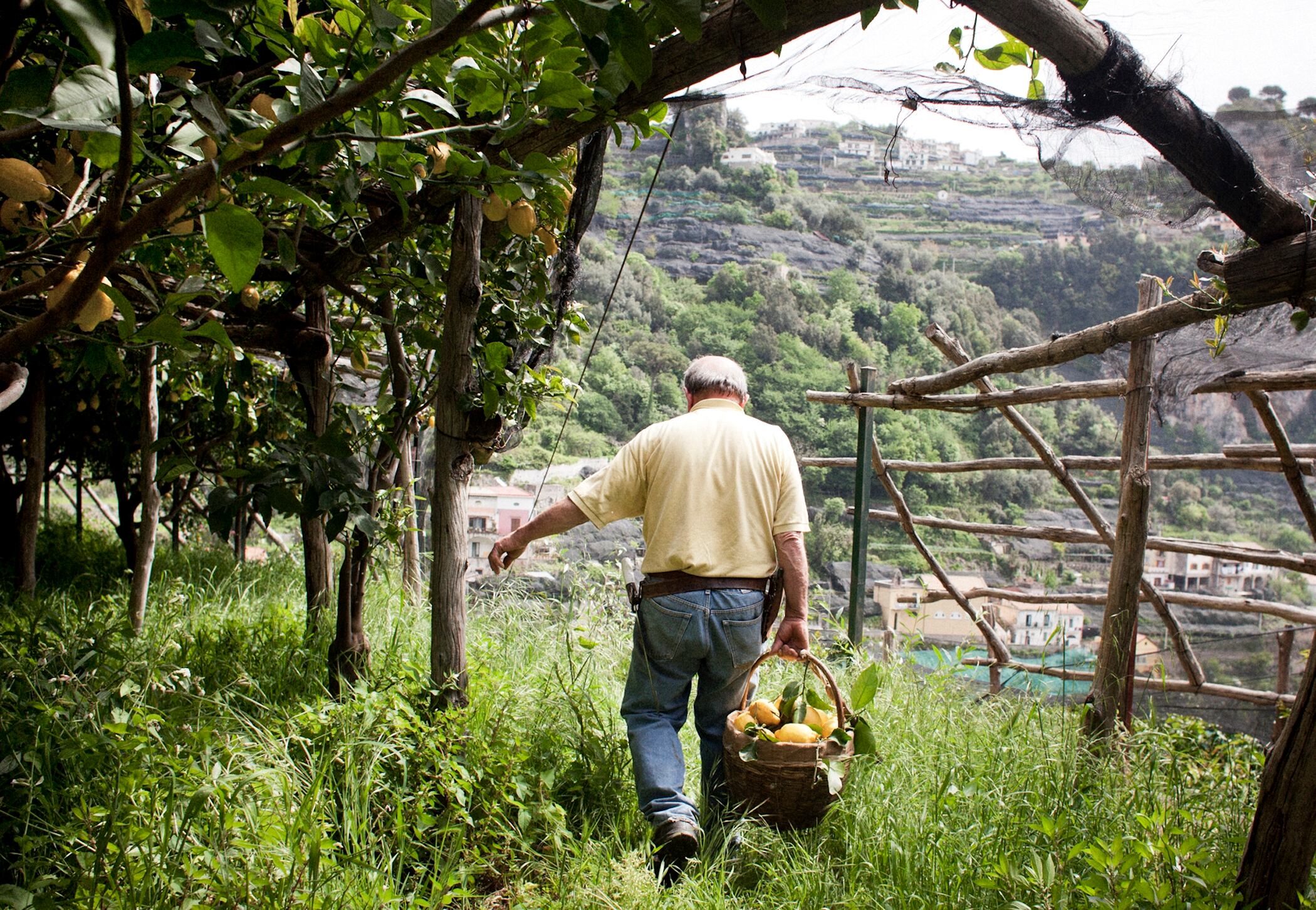 Aceto nasceu em 1934, o oitavo de 13 filhos; seus pais recebiam um subsídio especial para famílias grandes, dado pelo governo fascista de Mussolini. Em 1968 ele comprou mais terras, ficando com cerca de 8,1 hectares, com a ajuda de um empréstimo de 40 anos com um por cento de juros ao ano, concedido pelo Estado como parte de uma reforma agrária que visava a ajudar os agricultores a serem proprietários das terras onde trabalhavam.

Ele não tem saudades do passado e ainda lembra de como era ser criança durante a guerra, quando a família quase morreu de fome e as crianças eram enviadas aos campos para colher qualquer coisa que fosse comestível