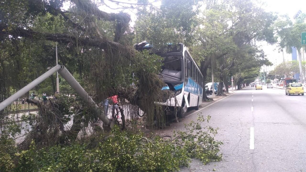 Ônibus bateu contra árvore e poste na rua Ferreira Viana, no Flamengo