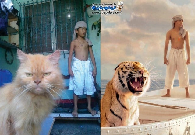 Tudo bem que o Robert Parker, o tigre de As Aventuras de Pi está num mau humor do cão, mas, tirando isso, o cosplay até que ficou legal. Baixo custo e alta criatividade! 