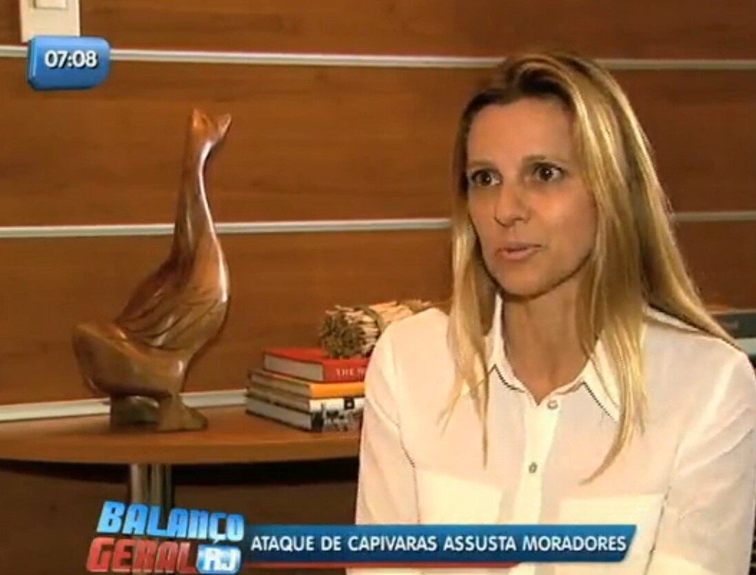 Em março desde ano uma moradora da Barra da Tijuca, zona oeste do Rio, foi atacada por uma capivara próximo ao canal de Marapendi. A fonoaudióloga Cláudia Liechavicius precisou ficar 20 dias afastada do trabalho para se recuperar da mordida do animal
— Não tive tempo para correr e foi aí que ela me derrubou para morder.