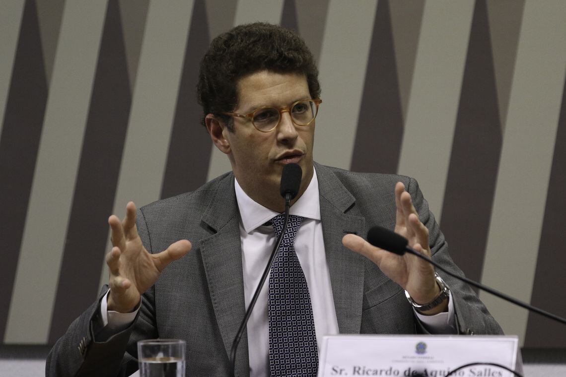 Salles participou de audiência pública