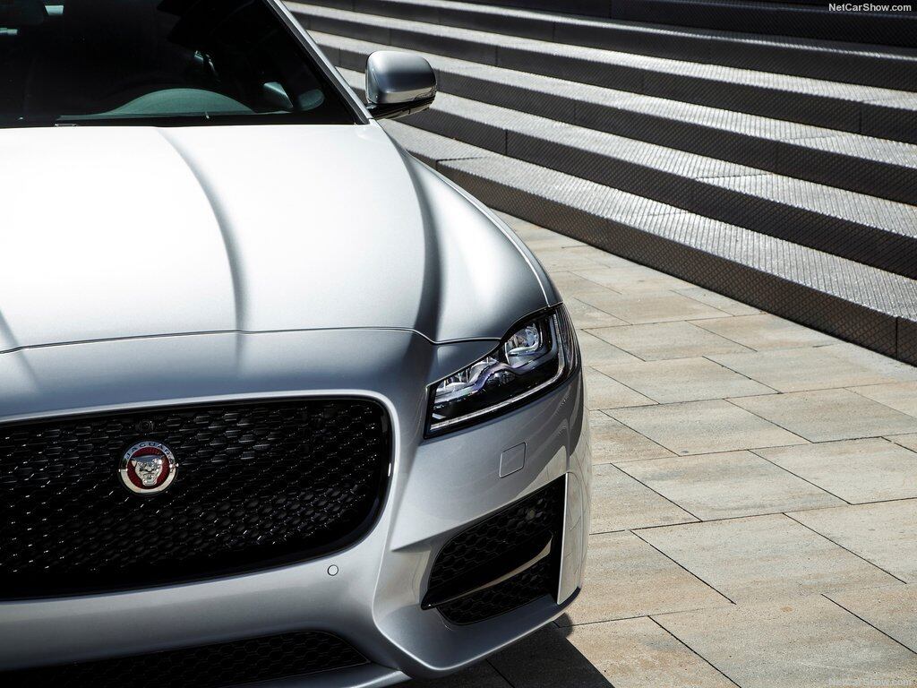 Assine o R7 Play e veja a Record online!