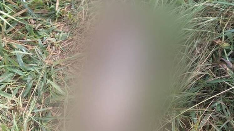 Pedro estava morando com uma mulher e teria pedido para a mãe depositar dinheiro na conta de um homem desconhecido pela família. Com essas informações, a polícia chegou até Francisca e Juan