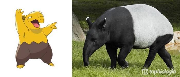 Drowzee foi inspirado numa Anta, ou Tapirus