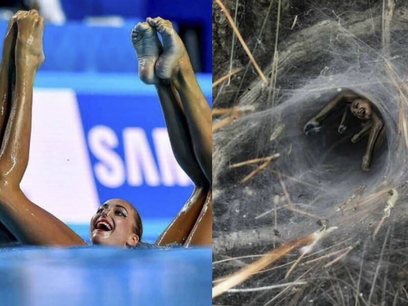De onde vem a inspiração para a coreografia de um nado sincronizado? Da natureza, claro!