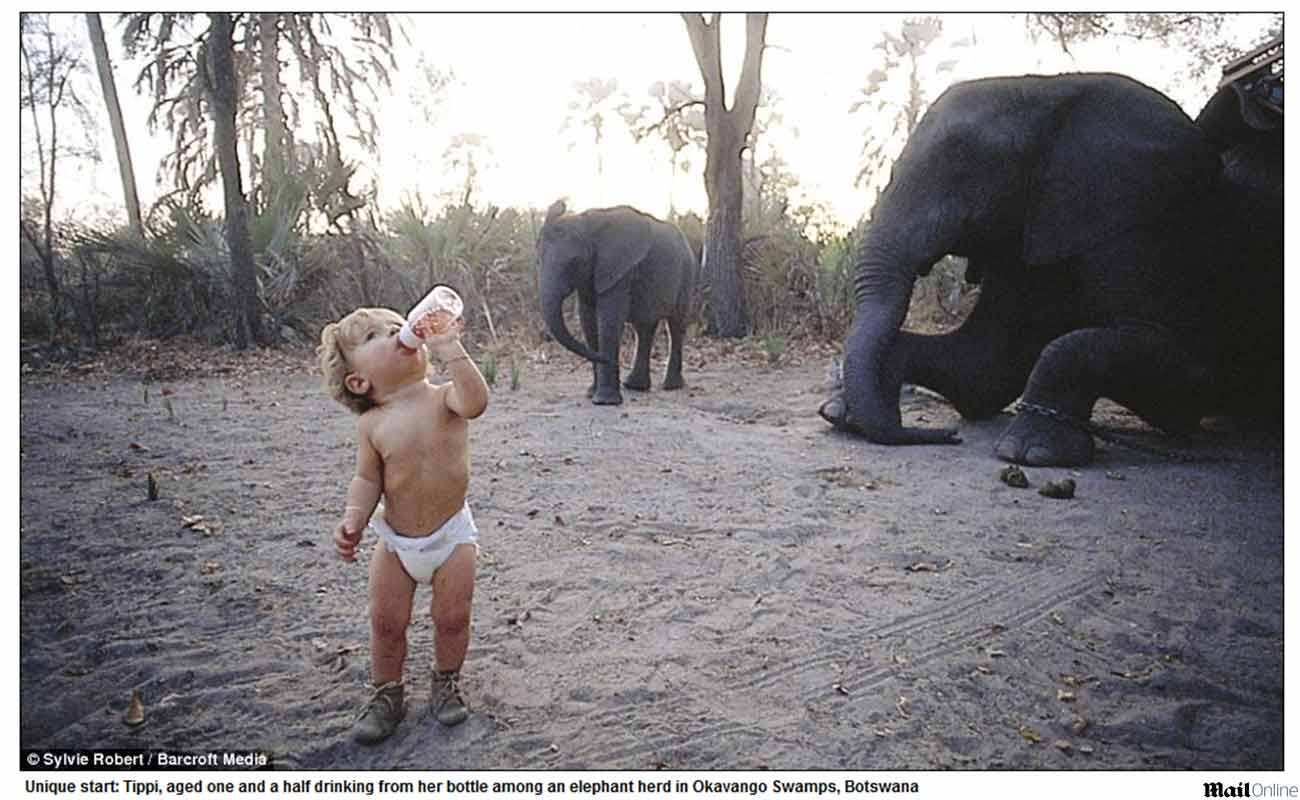 

Tippi é
filha de um casal de fotógrafos de vida selvagem, Sylvie Robert e Alain Degri.
Os três viajaram juntos por anos a fio por todo o continente africano.

A aventura
começou quando Tippi nasceu, em Namibia, e passou por países como Botsuana,
Zimbábue e África do Sul.


“O
dia-a-dia dela era se preocupar se os macacos roubariam ou não sua mamadeira”,
conta a mãe.


- Ou
então, ela me mostrava um elefante comendo do topo de uma árvore e dizia para
que ficássemos quietos ou o assustaríamos. Ela tinha
tanta liberdade!