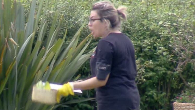 ''O QUE É, MULHEEEEEEEER?''

Deveria ser uma manhã normal para Thayse, mas a tarefa de cuidar das aves irritou a peoa e divertiu todos em casa! ''O que é, mulher? Eu não sei não! Vou ficar louca!'', gritou a peoa para Bifão.

