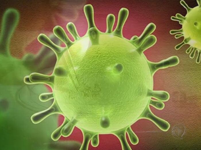 Zika vírus teria potencial para infecção congênita, diz pesquisa
