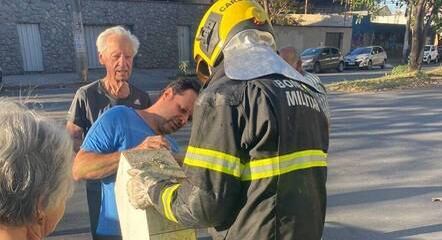 Foram salvos três cachorros, um gato e seis pássaros