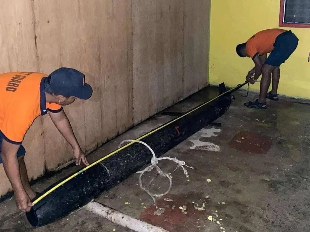 Drone de aproximadamente 3,6 metros de comprimento foi capturado no
dia 28 de setembro por pescadores filipinos