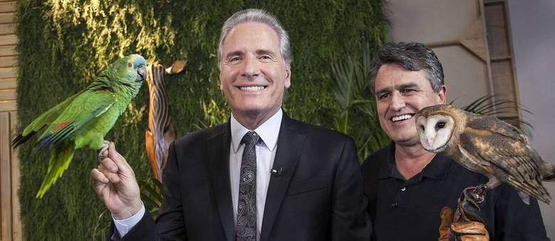 Aves, cachorros e até porcos: entenda mais sobre os pets que tanto amamos