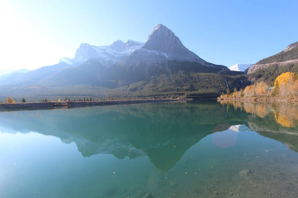 Por enquanto, autoridades em parceria com biólogos já estão tomando medidas para aumentar o volume de cálcio nos lagos e tentar reequilibrar o ecossistema
