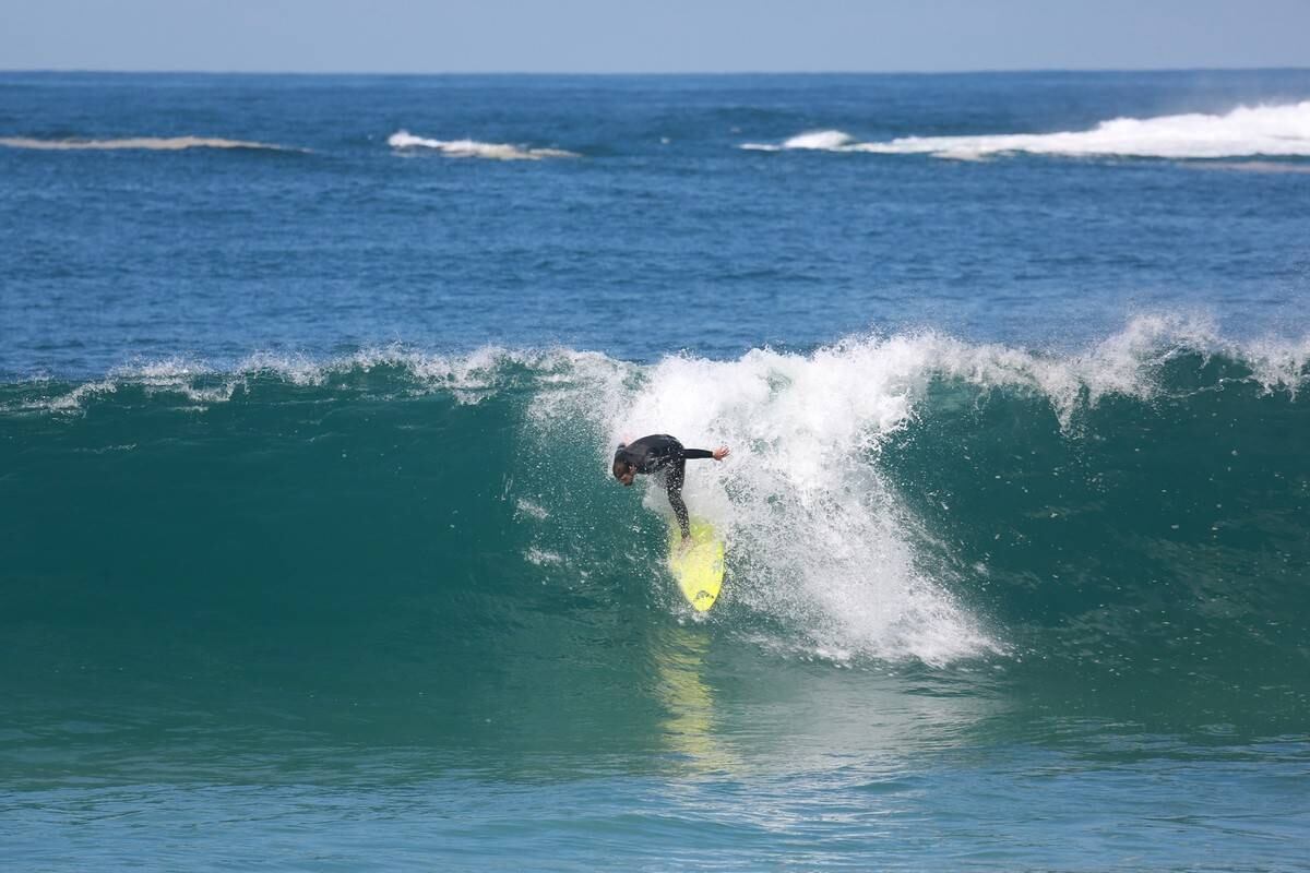 Cauã Reymond surfou no Recreio dos Bandeirantes nesta segunda-feira (21)