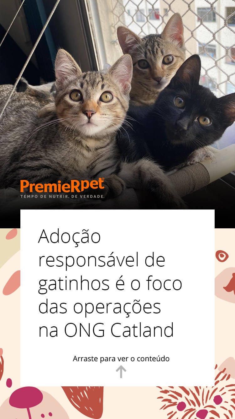 Conteúdo aprofundado sobre histórias reais de adoção, para informar e inspirar