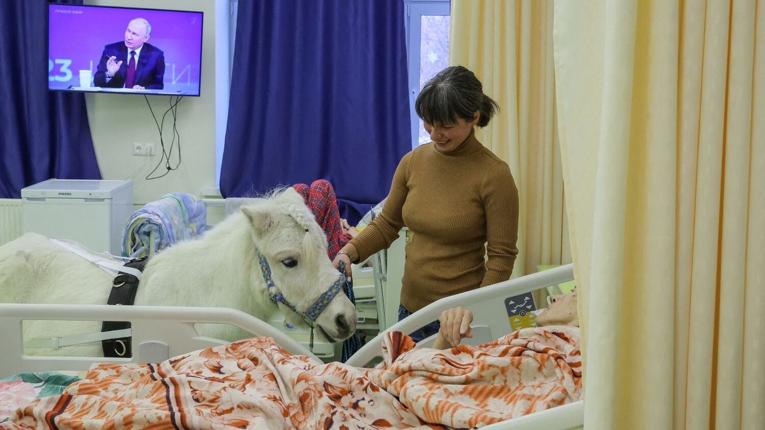 "Eu acho que as pessoas em hospitais não têm a oportunidade de visitar um estábulo ou ter contato com animais, e acredito que eles sintam falta dessa companhia. Me sinto feliz em poder proporcionar às pessoas a oportunidade de tocar um animal bonito, peludo, macio e gentil", afirma Anastasia