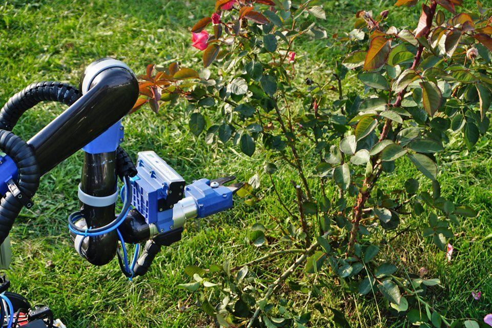 robô jardineiro-cortar grama-tecnologia