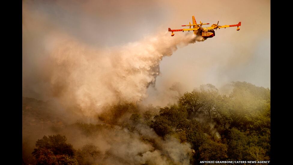 As imagens de Grambone foram capturadas nos últimos dois anos, o que mostra que
o fogo é um inimigo frequente na região