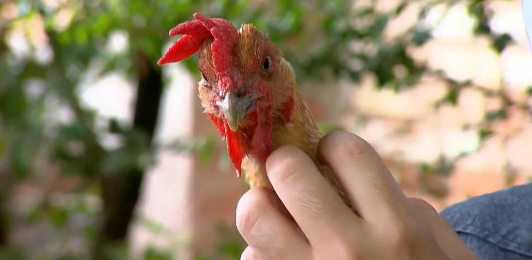 Tumor foi retirado e Clotilde já está em casa