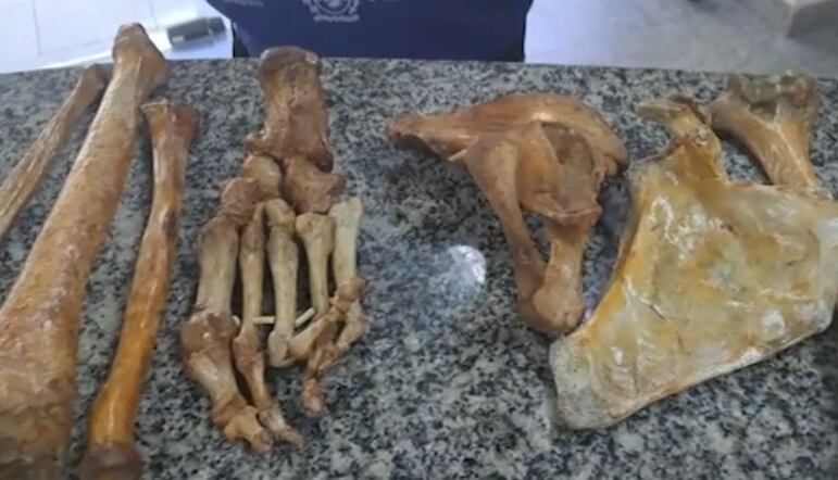 Ossos foram encaminhados para perícia no IML