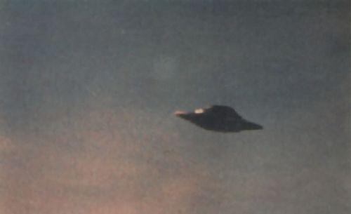 Quando quiseram cortá-lo, os Betz resolveram pedir o objeto de volta