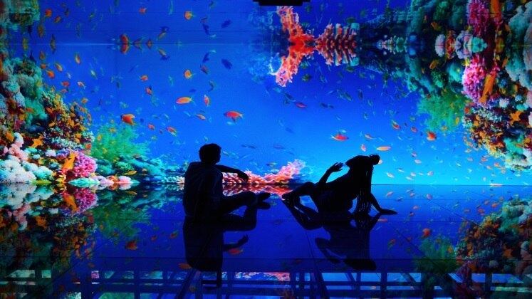 Inspirada nas belezas naturais, a mais nova atração do AquaRio traz o maior conjunto de espelhos da América Latina, segundo os organizadores. A instalação "Mar de Espelhos" já está aberta ao público e propõe um mergulho em diferentes cenários