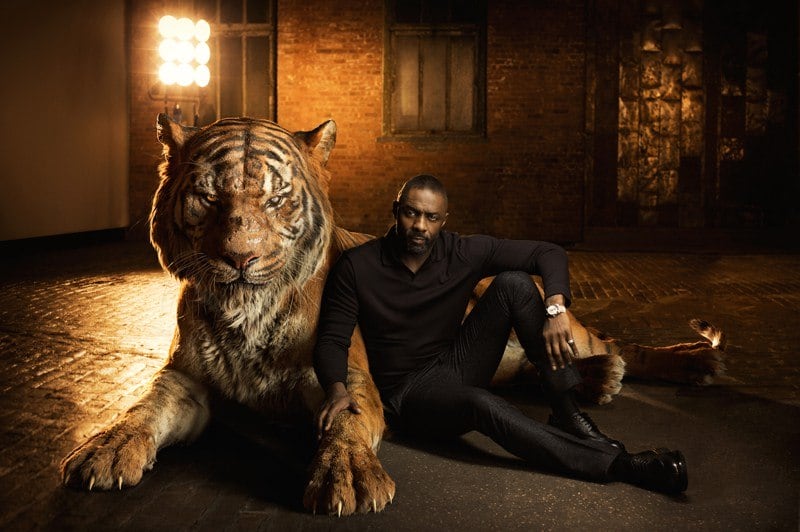 Os atores gringos fizeram um ensaio deslumbrante ao lado de seus personagens. Idris Elba com Shere Khan, como não amar?