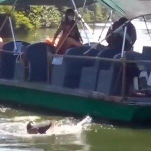 Vítima caiu no canal de Marapendi