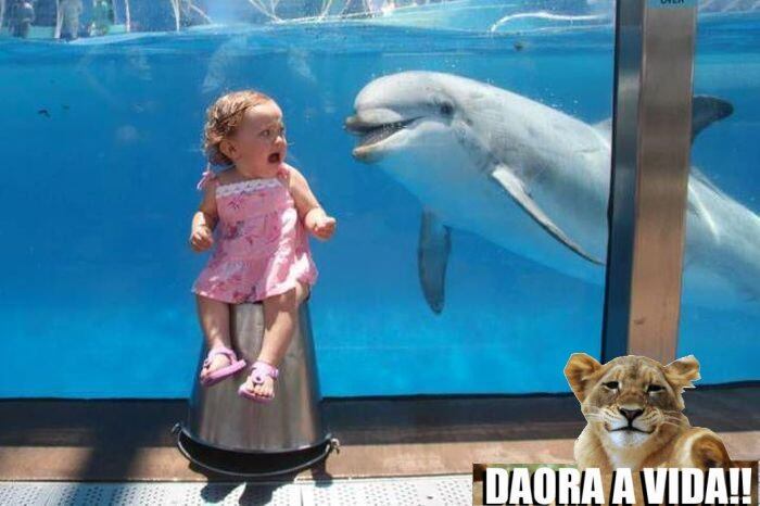 Pelo menos tem o vidro, fofinha!