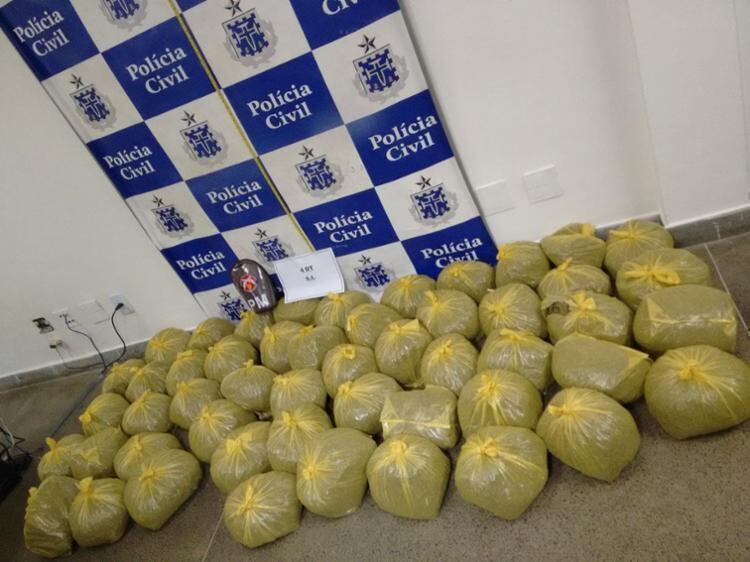 A maconha estava guardada em 51 sacolas plásticas em uma casa abandonada na localidade conhecida como Bernardo