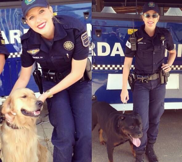 Em Campinas, os fiéis escudeiros de Paula são Jamal e Klaus, os cães farejadores da Guarda Municipal da cidade
