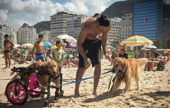 Nem tudo são flores para Olívia! Frederico é um namorado muito ciumento