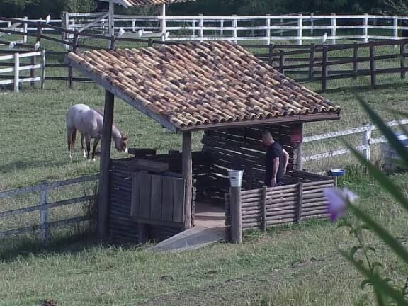 Oscar cuida com carinho dos seus porquinhos

+ Aplicativo
A Fazenda permite interatividade em tempo real. Fique por dentro da
novidade. Veja mais!