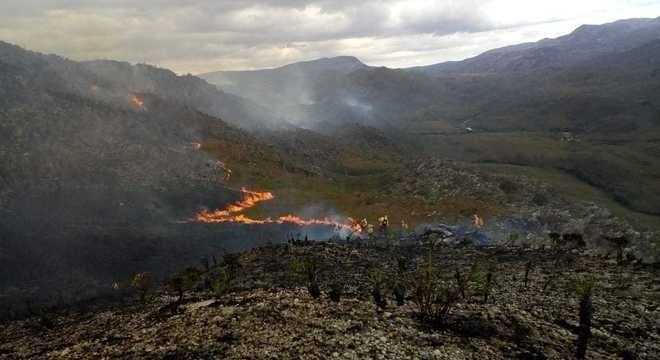 MG tem alta de 22% em incêndios florestais em setembro