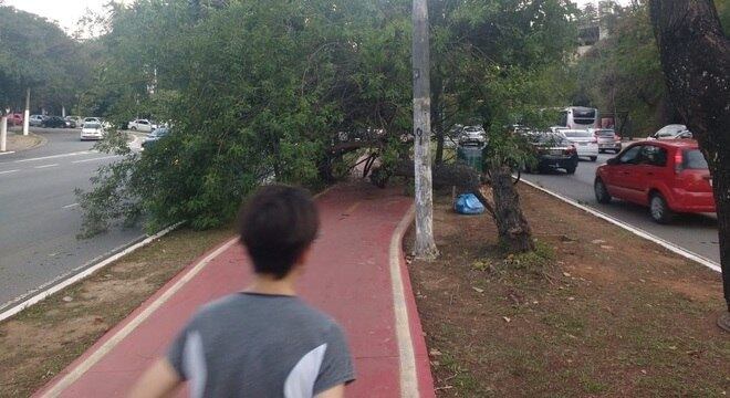 Trechos de ciclofaixas com obras iniciadas somam cerca de 37 km