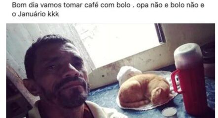 Gatinho virou meme ao ser 'confundido' com bolo