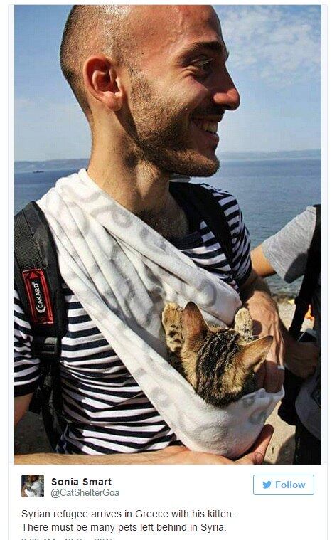 Gato de estimação acompanhou o refugiado em toda a travessia do Mar Mediterrâneo