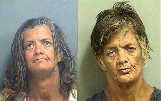 

Ela
pode ser usada via oral, injetável, inalada, fumada e, até mesmo, por meio das
mucosas vaginal e anal

