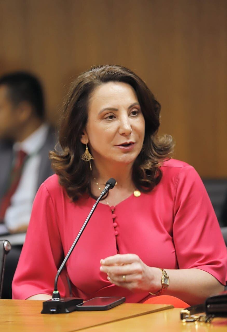 Deputada Jaqueline Cassol: requerimento para discutir o preço do querosene de aviação (QAV)