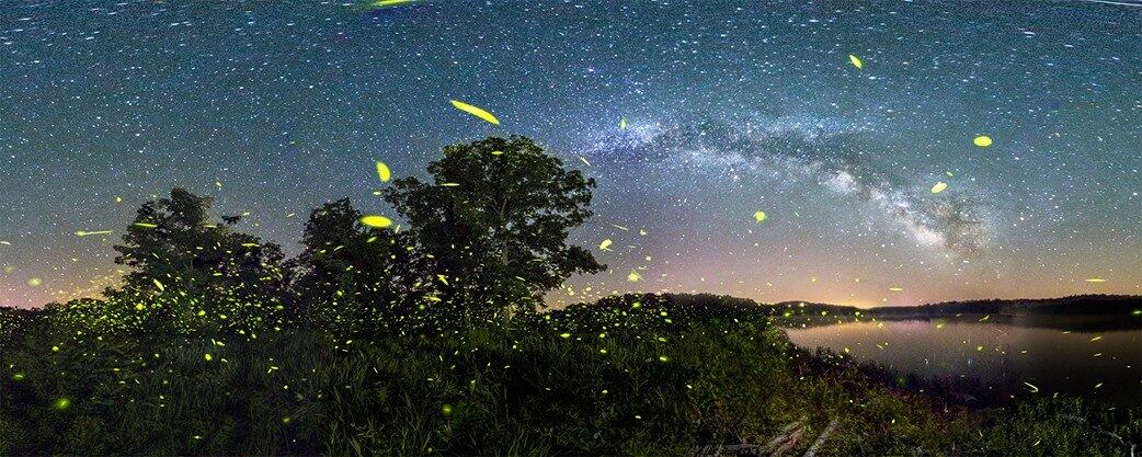 Mas todo o esforço realmente valeu a pena: as fotos parecem obra de arte!