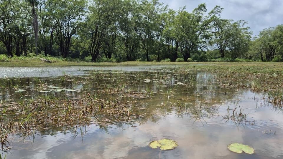 Marajó/PA