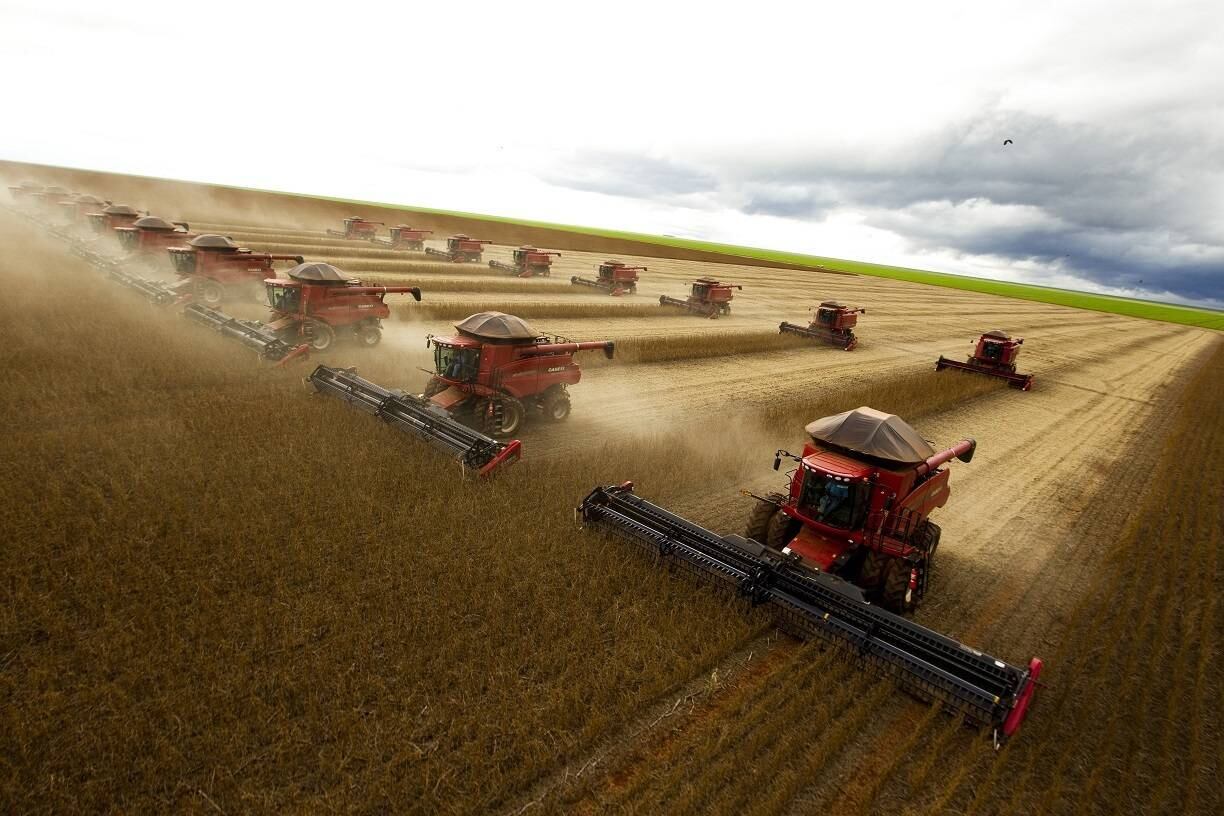 Safra de soja deve ficar abaixo das estimativas devido a seca