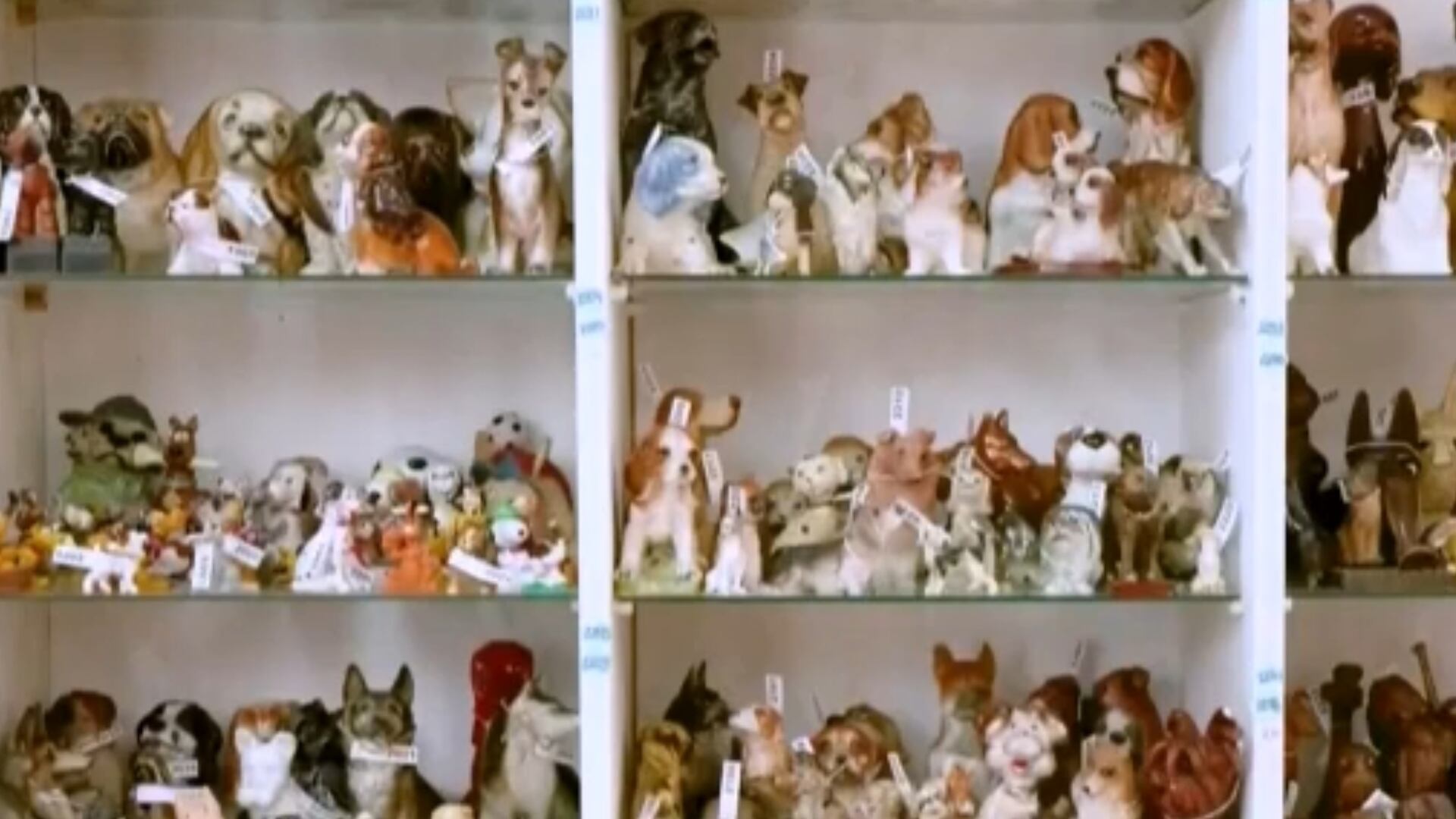 Família espanhola entra para o Guinness com coleção de mais de 5.000 objetos de cães