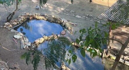 Moradora criou lago para conter infiltração