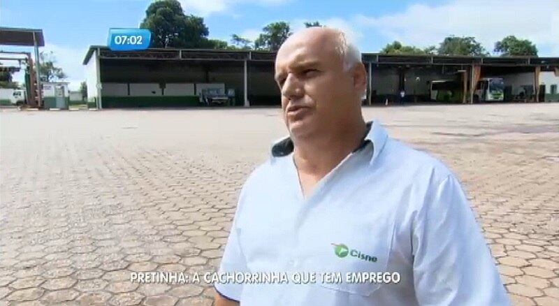 Albino Pinheiro, funcionário da empresa, garante que a vira-lata estranha qualquer veículo que não seja ônibus que tente entrar no local.

— A Pretinha chegou aqui há dois anos e ela acostumou aqui na garagem. Todo carro que não seja ônibus que adentra aqui a garagem ela avança