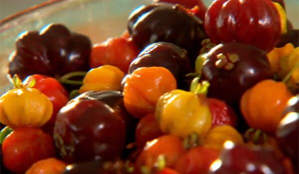 Versátil, a pitanga é inspiração para diversas e deliciosas receitas; veja o passo a passo!